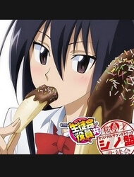 Bìa truyện Seitokai Yakuindomo