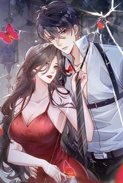 Bìa truyện Sát Thủ Bướm