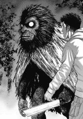 Bìa truyện Monkey Peak - Đỉnh Núi Khỉ