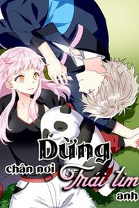 Bìa truyện Dừng Chân Nơi Trái Tim Anh