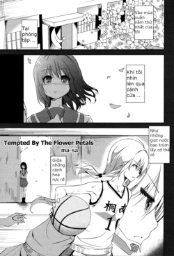 Bìa truyện Tempted by flower petals