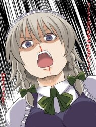 Bìa truyện Touhou Random Strip &amp; 4koma